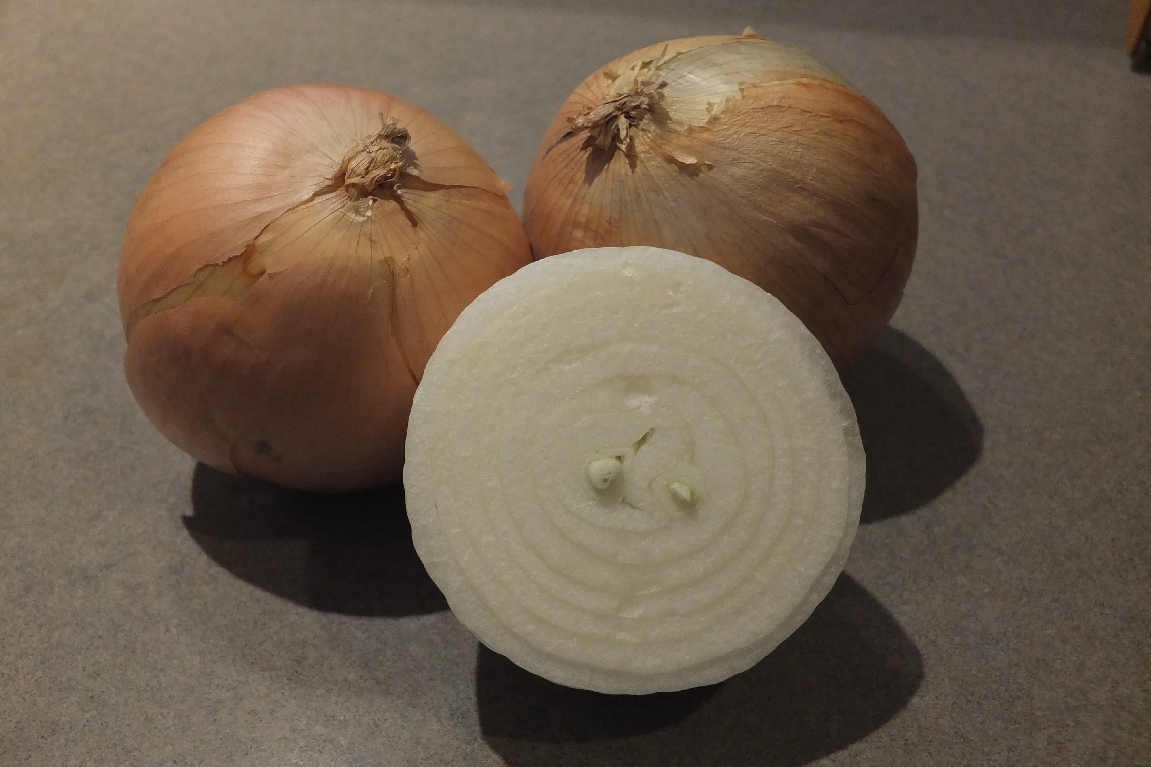 onions, shallot